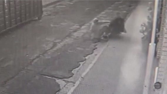 Several Venice, Marina del Rey shops burglarized