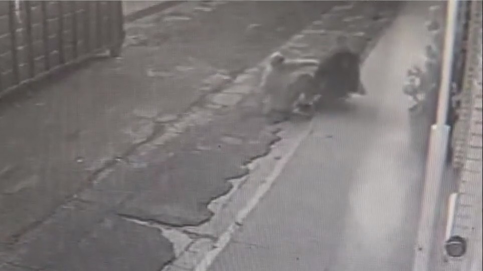 Several Venice, Marina del Rey shops burglarized