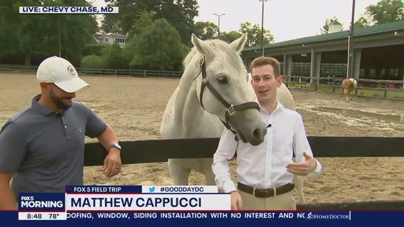 Making friends with the horses at Meadowbrook Stables!