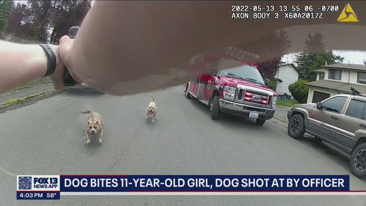 Auburn officer shoots dog running at him after 11-year-old bit by dog