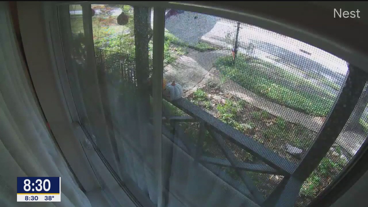 Several coyote shootings in Dallas neighborhood