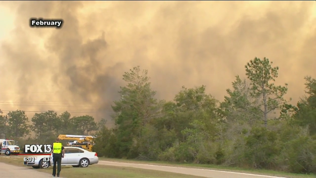 Arson blamed in brush fires | FOX 13 Tampa Bay