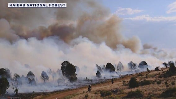 Crews making progress on northern Arizona wildfires