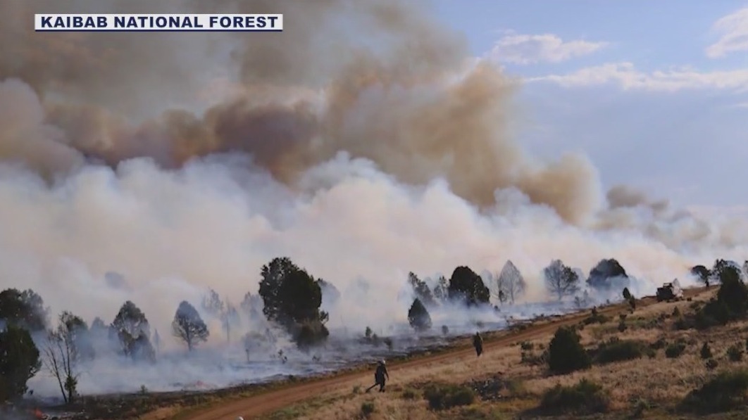 Crews making progress on northern Arizona wildfires