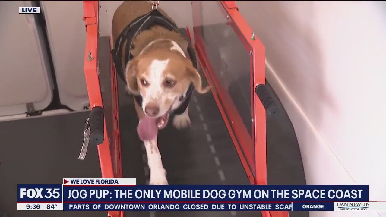 Jog Pup: Florida mobile dog gym
