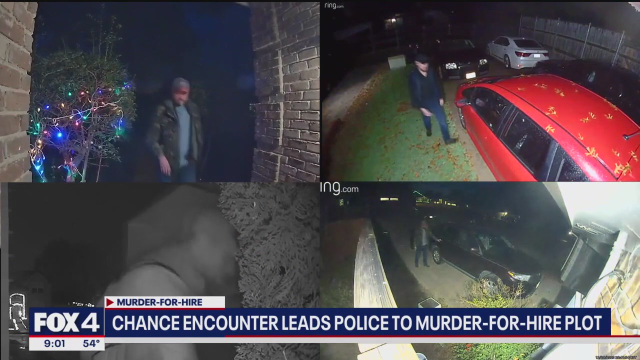 Murder-for-hire plot foiled during theft probe