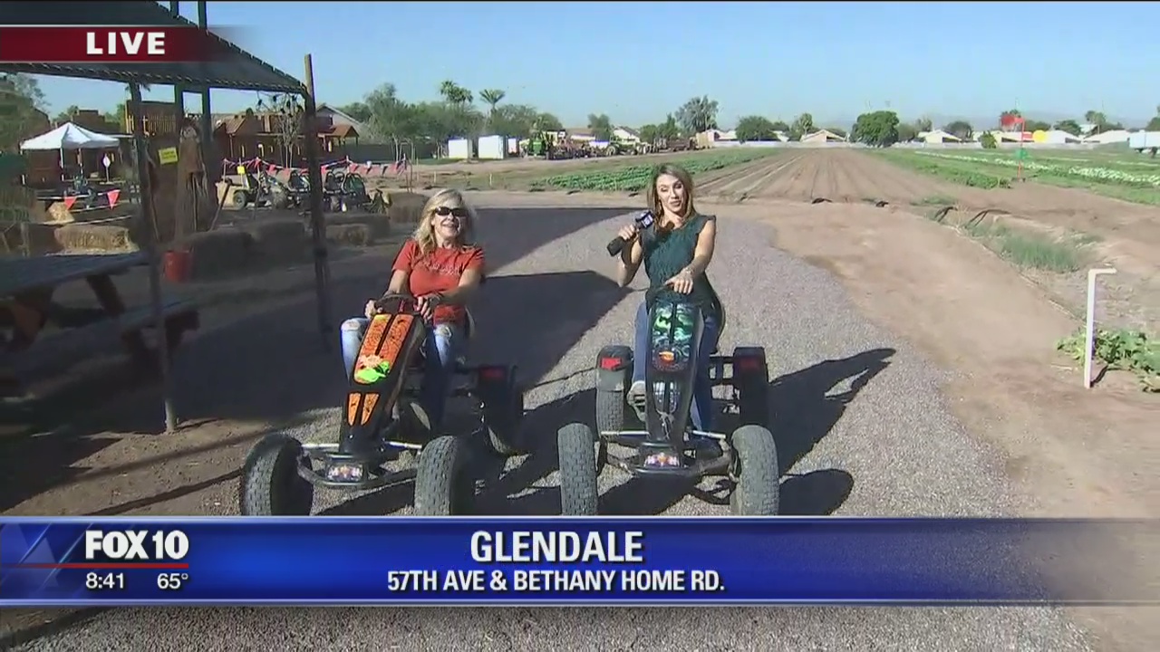 Pumpkin days and a corn maze at Tolmachoff Farms