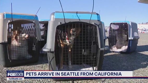 Pets arrive in Seattle from California