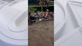 Paul Walker fans pay respect 12 years after death