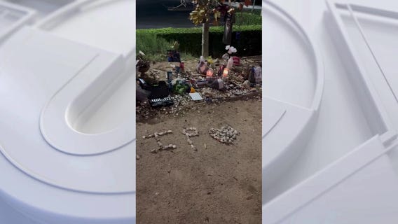 Paul Walker fans pay respect 12 years after death