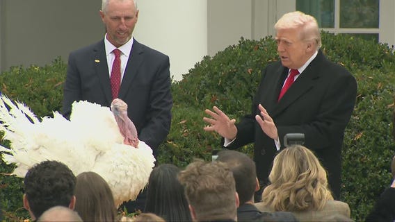 President Trump pardons turkey ahead of Thanksgiving