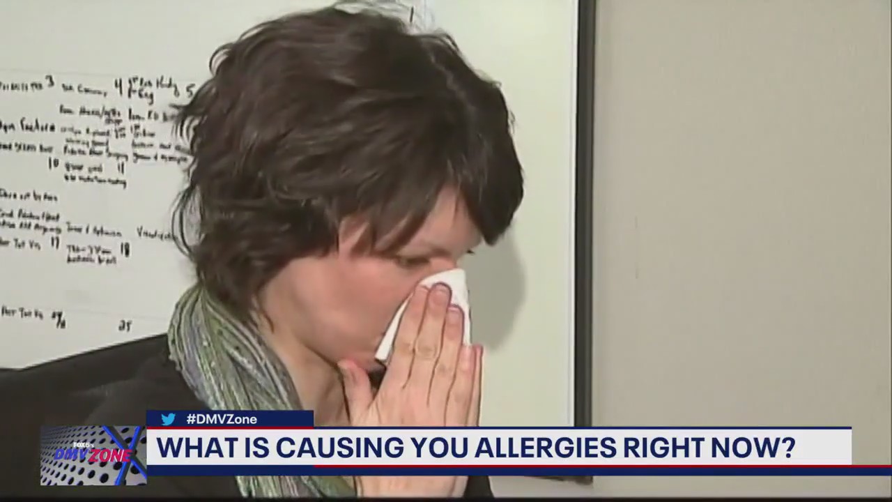 What is causing your seasonal allergies?