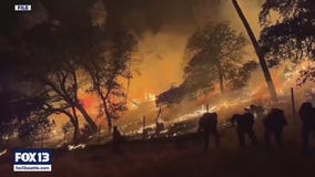 Thurston Co. proposes new ordinance after Bear Gulch firefighters detained