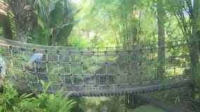 McKee Botanical Gardens: A daycation hotspot