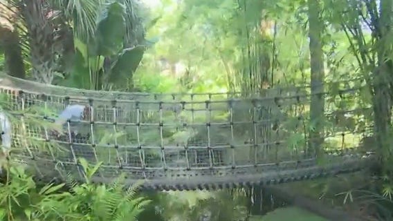 McKee Botanical Gardens: A daycation hotspot