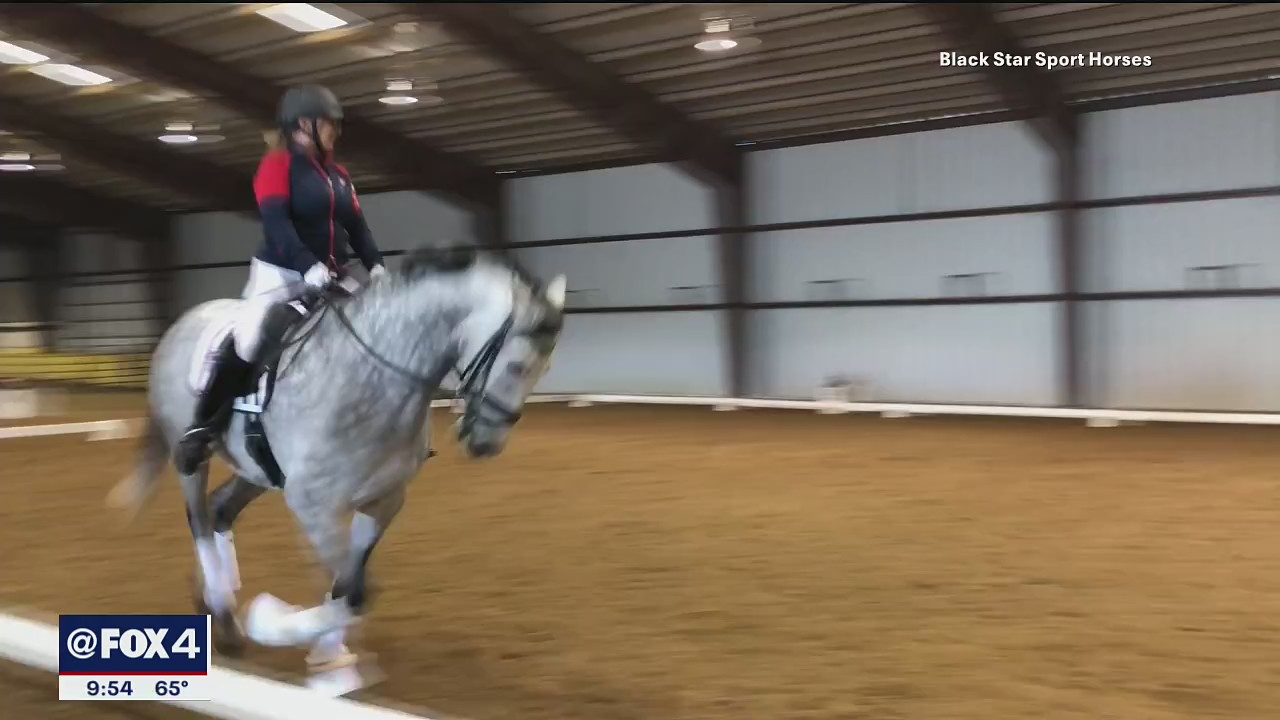 Fox4ward:  Free Horse Shows in Rockwall