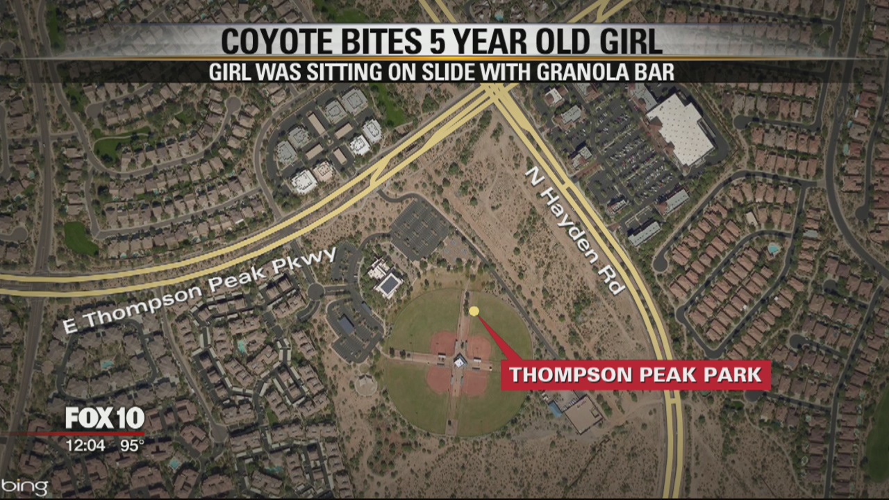 Girl gets rabies shot after being bitten by coyote at park