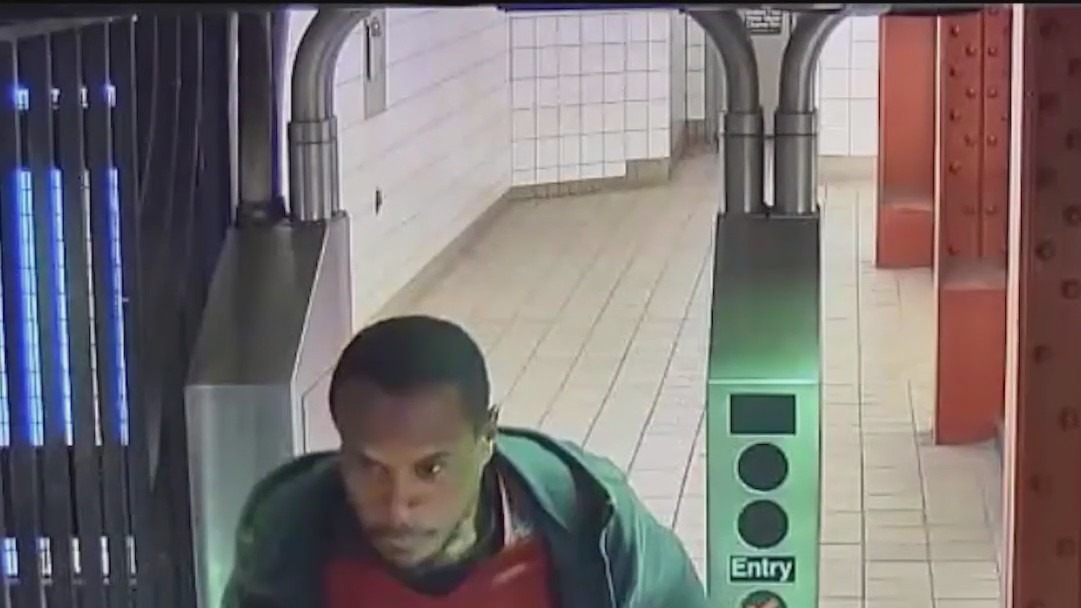 Woman shoved into subway train; suspect sought