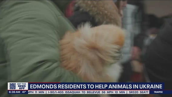 Edmonds residents to help animals in Ukraine