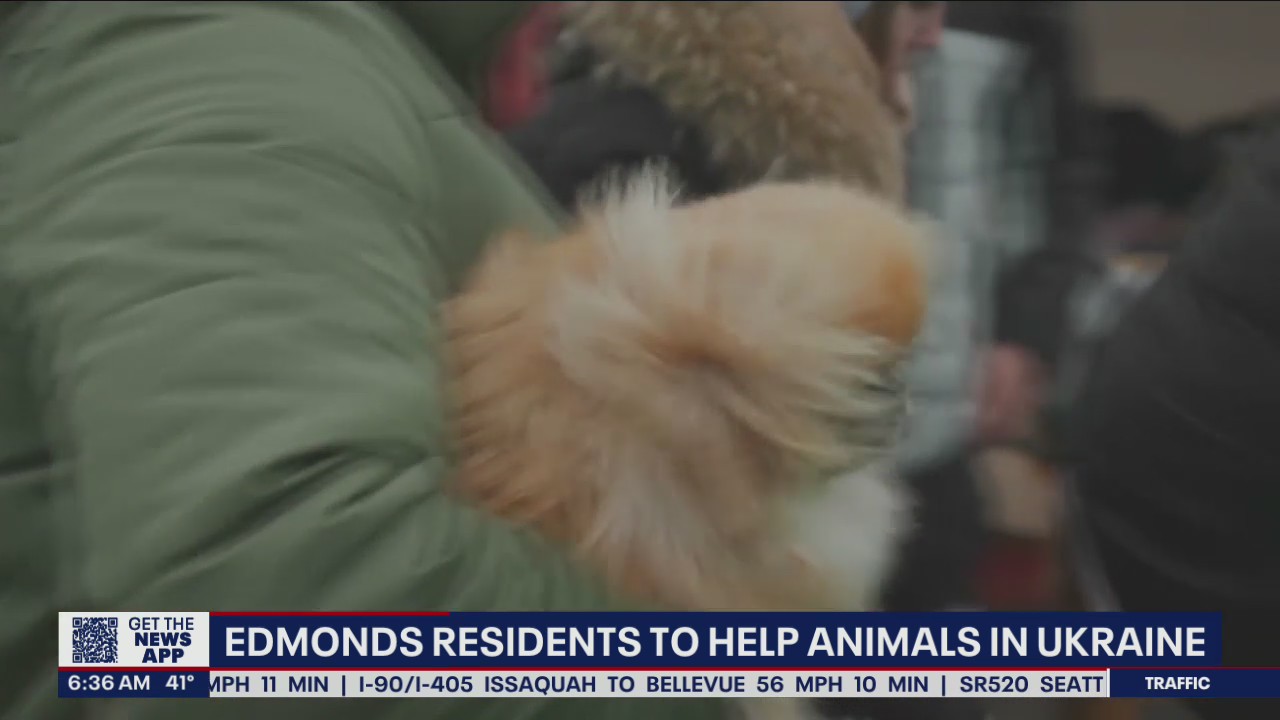 Edmonds residents to help animals in Ukraine