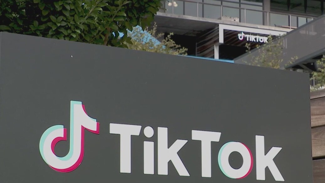 Biden says he'll ban TikTok if Congress passes