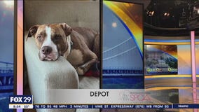 FurEver Home: April 23, 2023