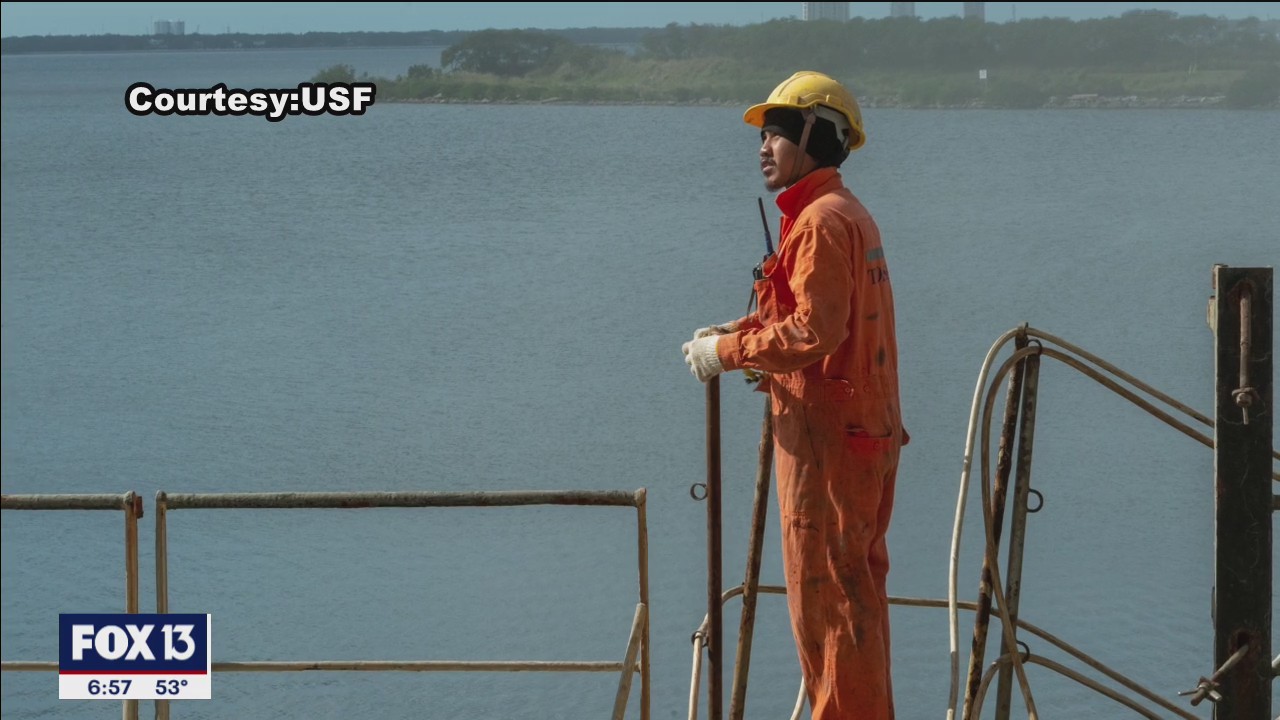 Seamen get vaccines thanks to USF nurses