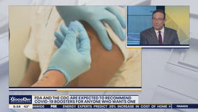 COVID-19 booster shots could be widely available before holiday season