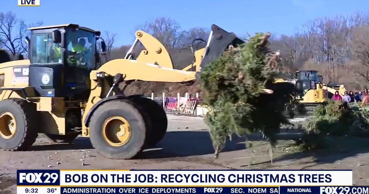 Bob On The Job: Recycling Christmas Trees