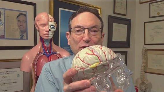 Four pivotal ages for your brain