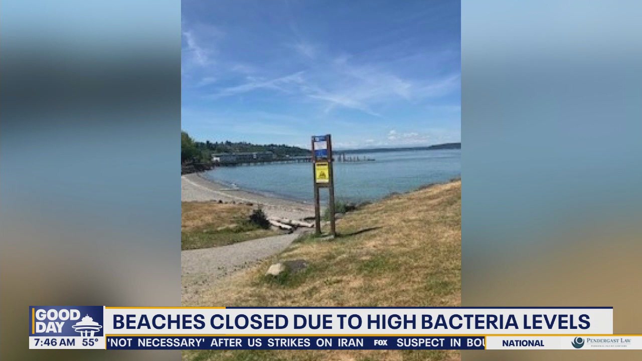 6 King County beach parks closed due to high bacteria levels