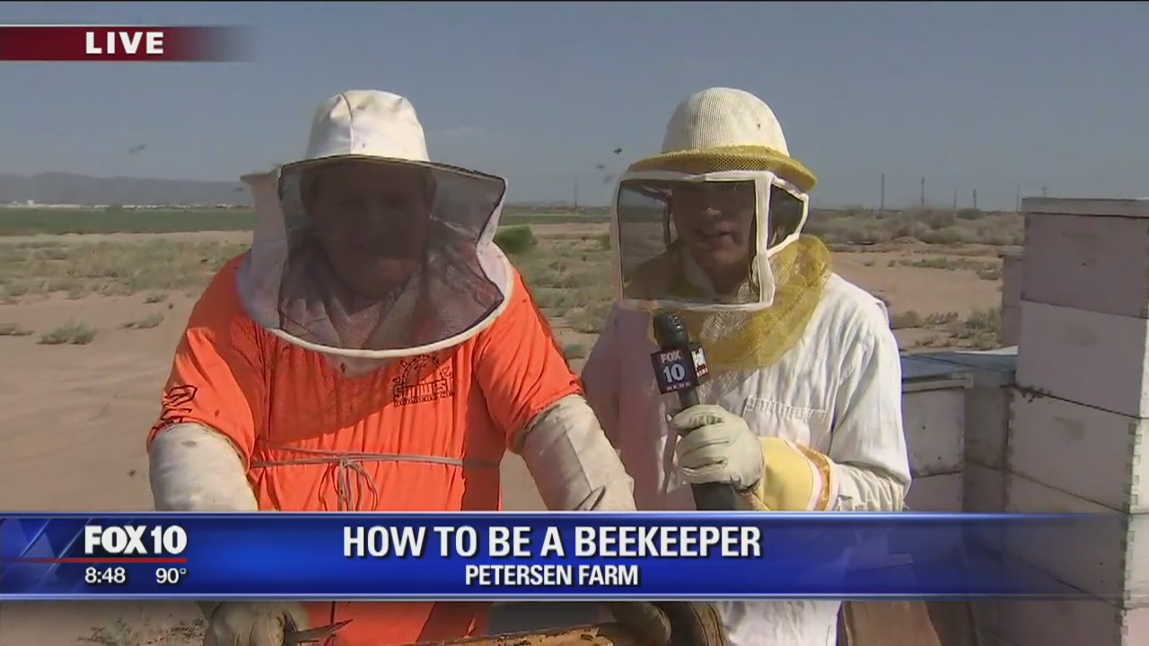 Cory gets on-the-job training as a beekeeper