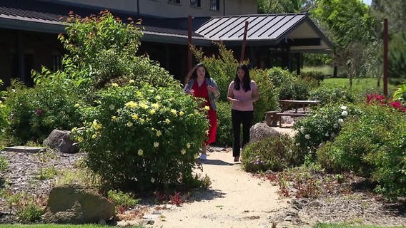 Napa's first Vietnamese-owned Winery offers new way to experience wine