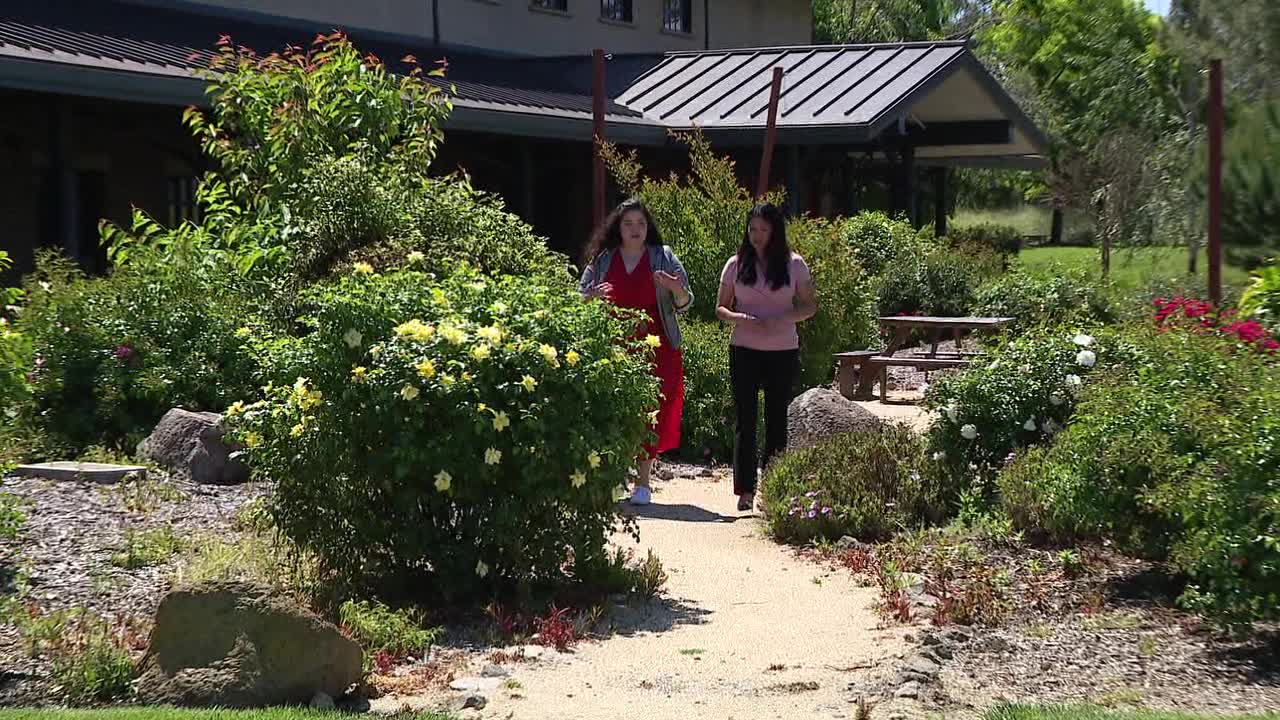 Napa's first Vietnamese-owned Winery offers new way to experience wine