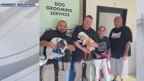 Grand Opening of Puppy Fades in Pasadena