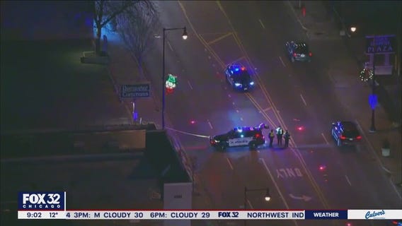 Passenger critically injured after falling out of SUV into traffic in Morton Grove