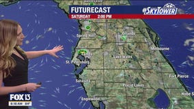 Tampa weather | Hot temps with few storms
