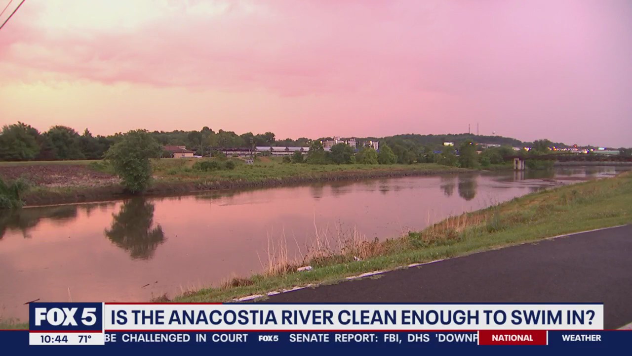 Swimming in the Anacostia River? | FOX 5 DC