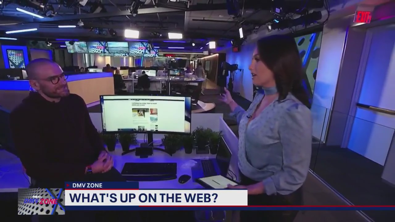 Texas man scammed by puppy sale