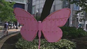 Mag Mile hosts unique butterfly sculptures from nature museum
