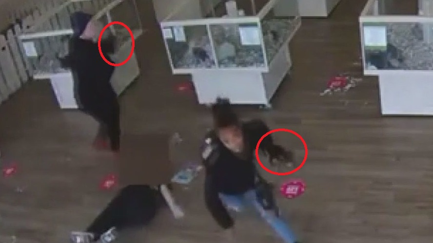 Video shows thieves snatch $10K worth of Puppyland puppies