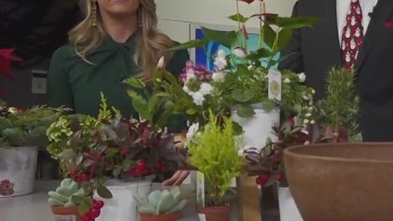 Tips for crafting a living centerpiece