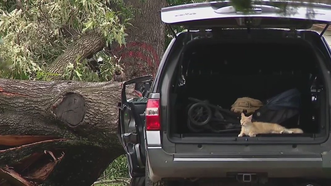 Houston weather: Clean up begins after severe storms