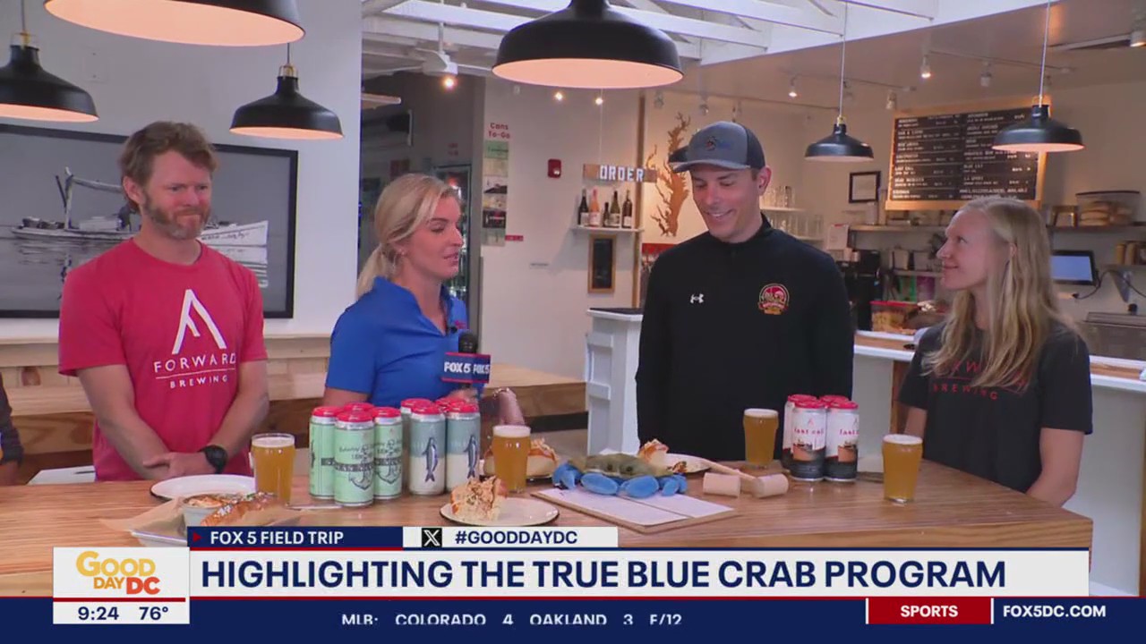 Crabs for Memorial Day