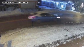 Pedestrians hurt in Merton hit-and-run