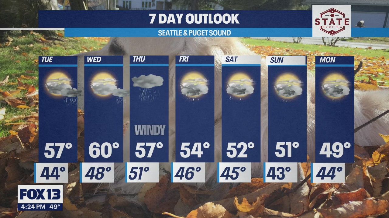 Chilly, rainy and foggy start to November