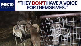 Exotic animals rescued: Rio Verde residents react