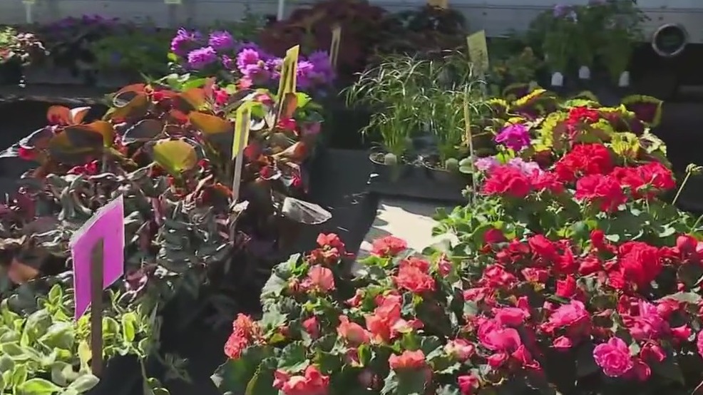 Lincoln Square Farmers Market kicks off season