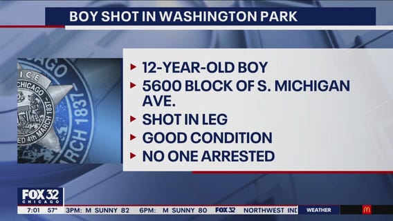 Boy, 12, shot in Washington Park