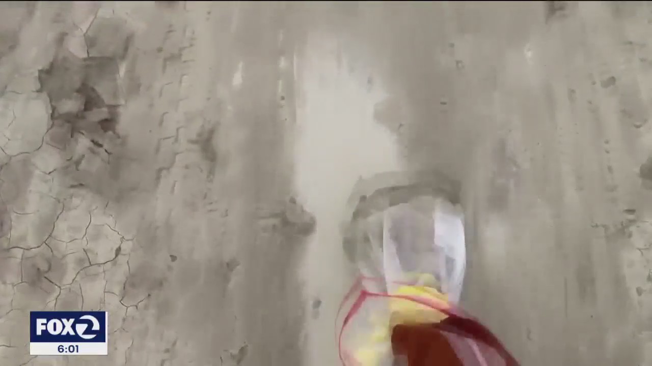 Die-hard Burning Man guests stick it out in the mud | KTVU FOX 2